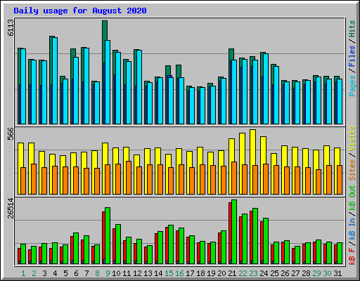 Daily usage for August 2020
