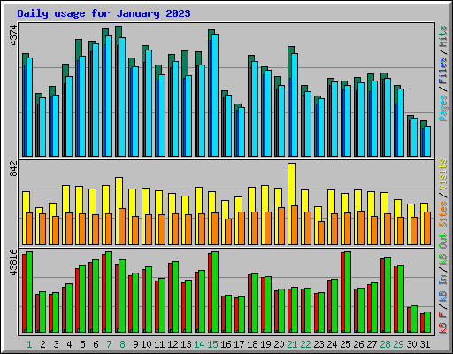 Daily usage for January 2023