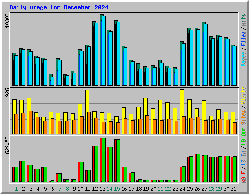 Daily usage for December 2024