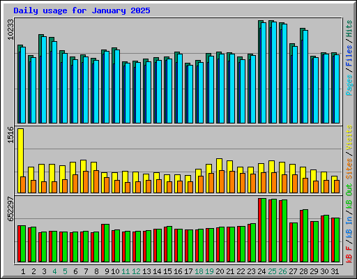 Daily usage for January 2025