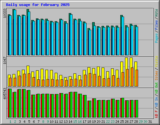 Daily usage for February 2025