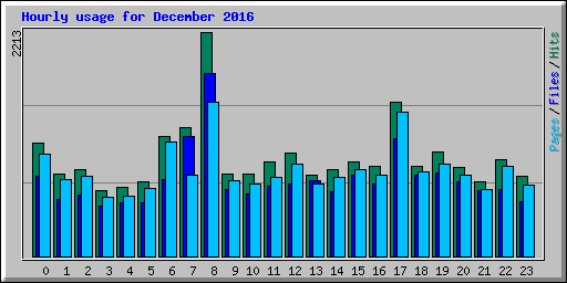 Hourly usage for December 2016