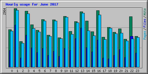 Hourly usage for June 2017