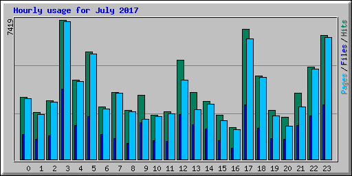 Hourly usage for July 2017