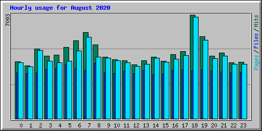 Hourly usage for August 2020