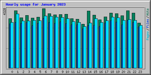 Hourly usage for January 2023