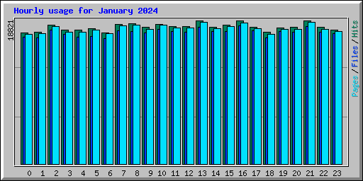 Hourly usage for January 2024