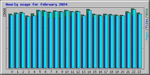 Hourly usage for February 2024