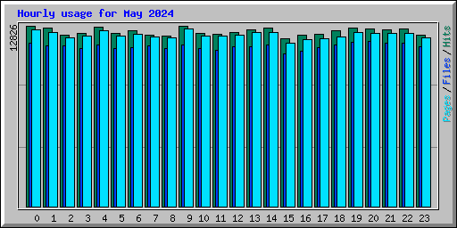 Hourly usage for May 2024