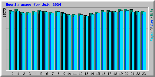 Hourly usage for July 2024