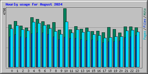 Hourly usage for August 2024