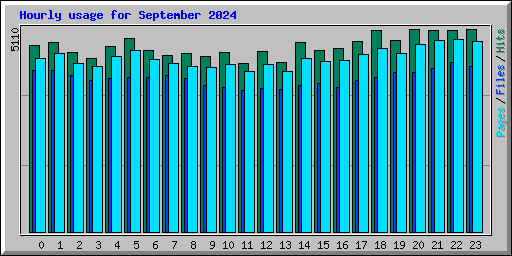 Hourly usage for September 2024
