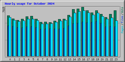 Hourly usage for October 2024
