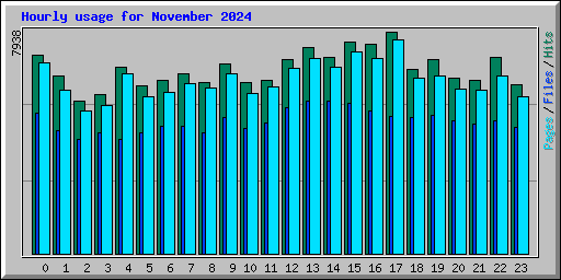 Hourly usage for November 2024