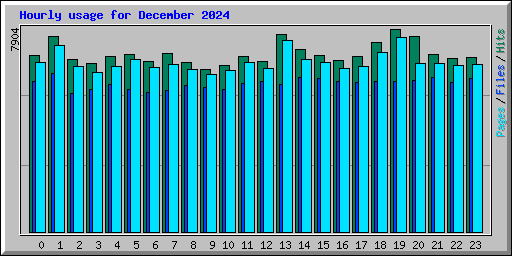 Hourly usage for December 2024