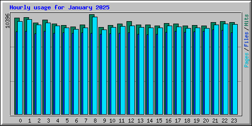 Hourly usage for January 2025