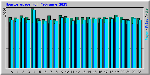 Hourly usage for February 2025