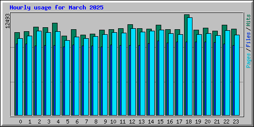 Hourly usage for March 2025