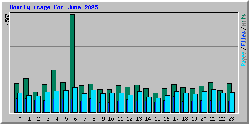 Hourly usage for June 2025
