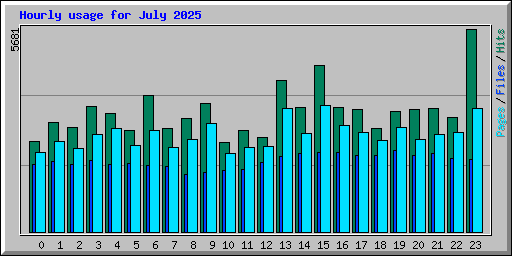 Hourly usage for July 2025