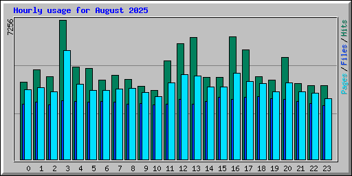 Hourly usage for August 2025